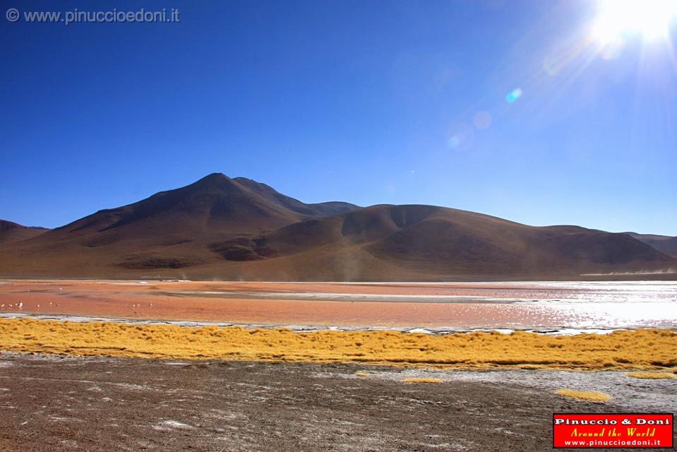 BOLIVIA 2 - Laguna Colorada - 20.jpg